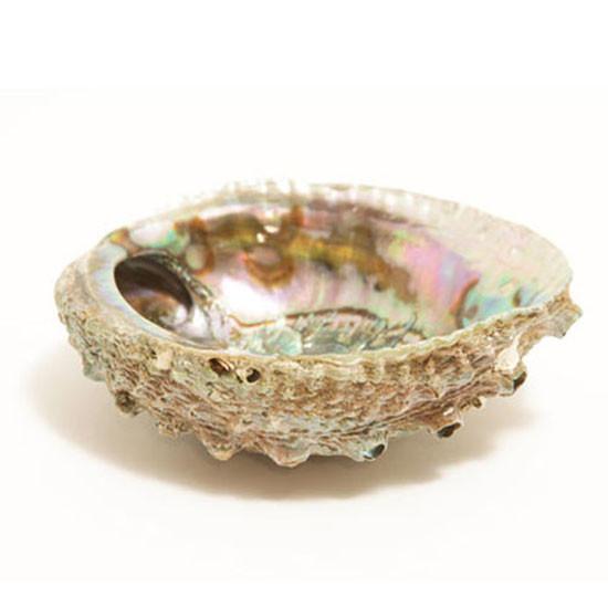 Smudge Ash Tray Burner - Abalone Shell - Large 5"-6"