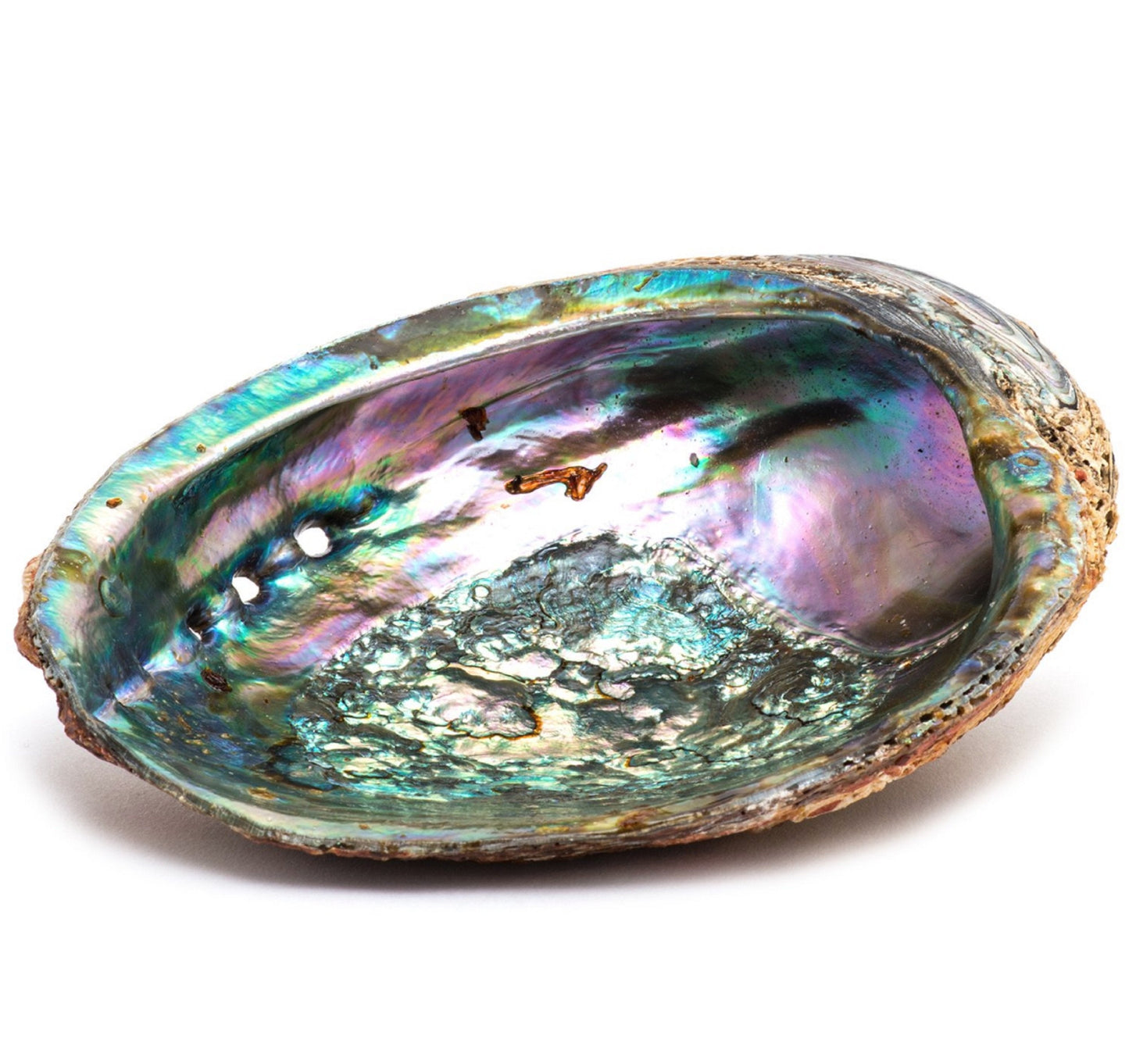 Smudge Ash Tray Burner - Abalone Shell - Large 5"-6"